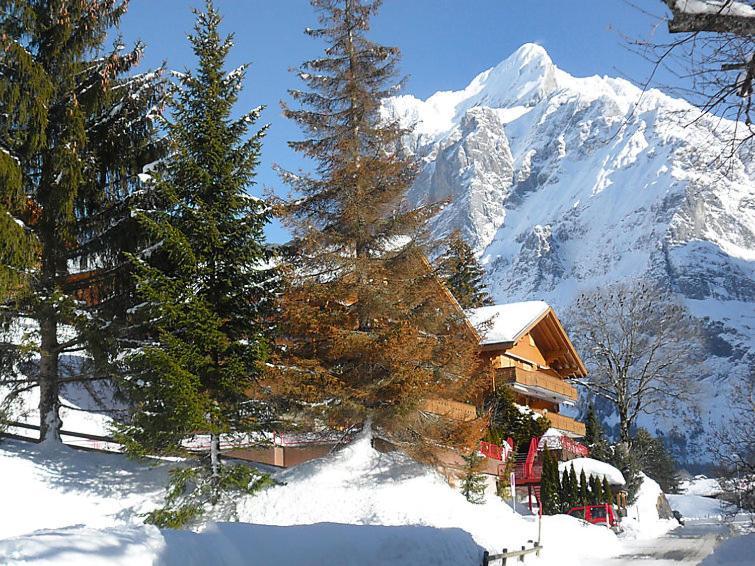 Firstsunne Lägenhet Grindelwald Exteriör bild