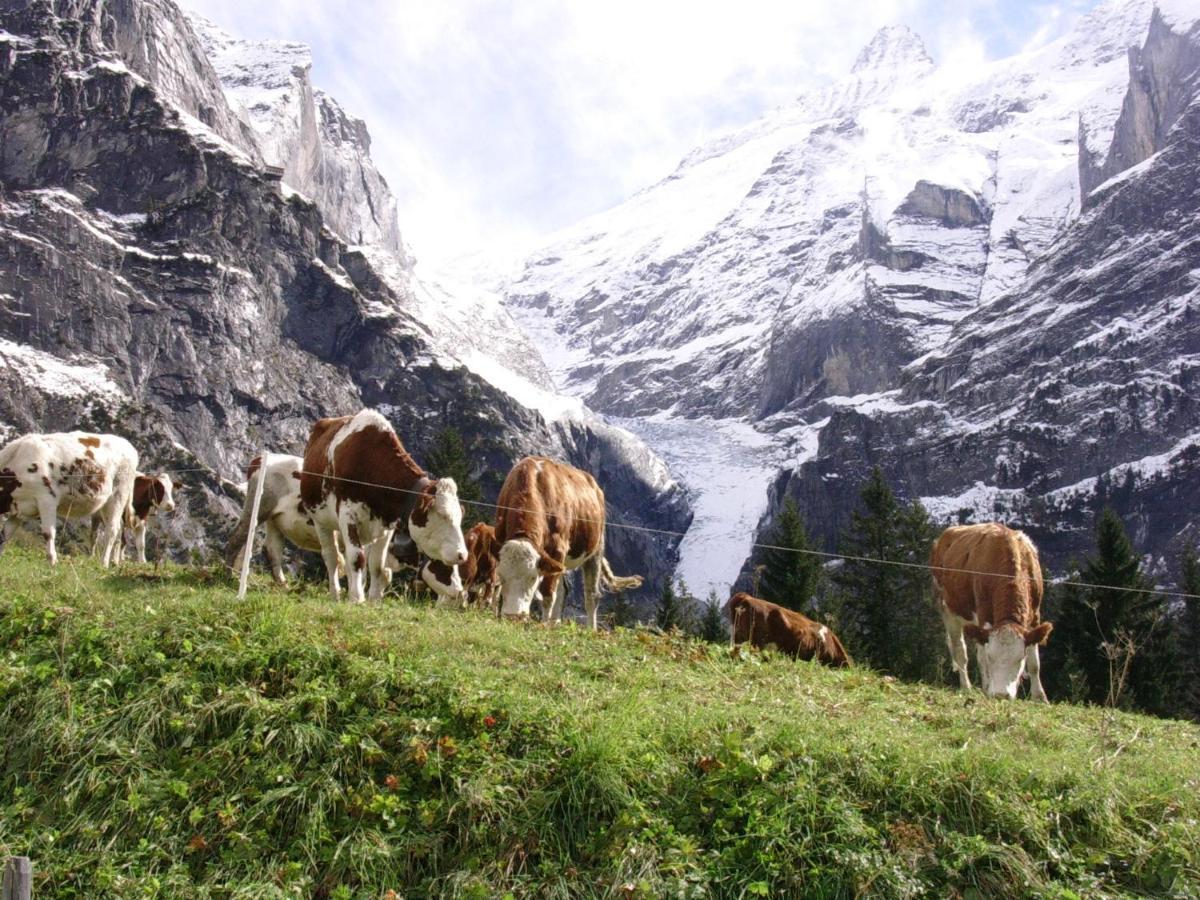 Firstsunne Lägenhet Grindelwald Exteriör bild
